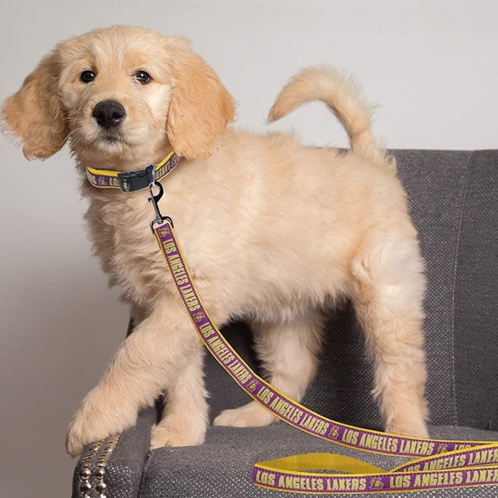 Pets First NBA LA Lakers Dog Collar and Leash